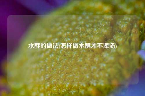 水酥的做法(怎样做水酥才不浑汤)