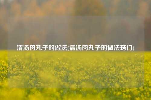 清汤肉丸子的做法(清汤肉丸子的做法窍门)