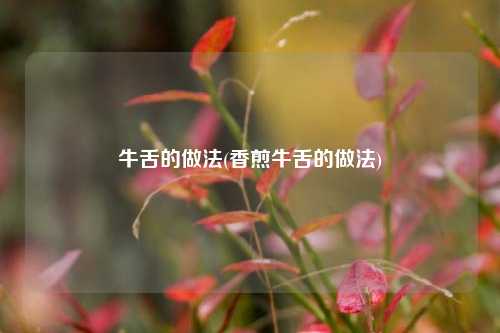 牛舌的做法(香煎牛舌的做法)