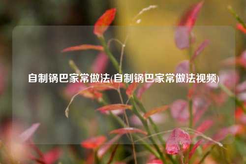 自制锅巴家常做法(自制锅巴家常做法视频)