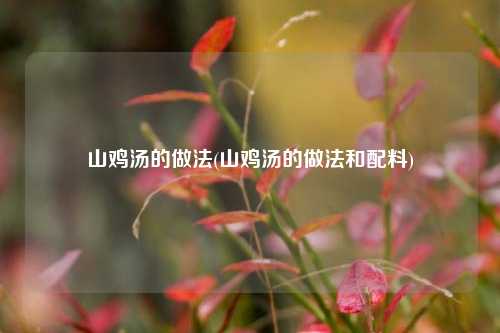 山鸡汤的做法(山鸡汤的做法和配料)