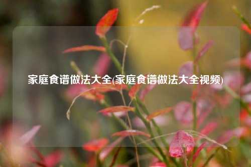 家庭食谱做法大全(家庭食谱做法大全视频)
