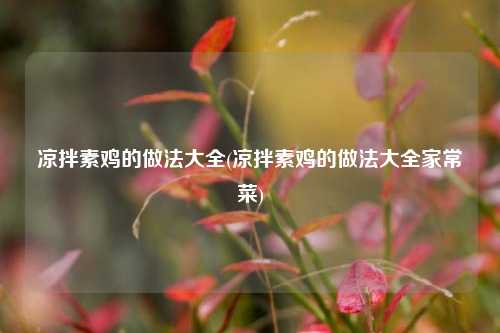 凉拌素鸡的做法大全(凉拌素鸡的做法大全家常菜)