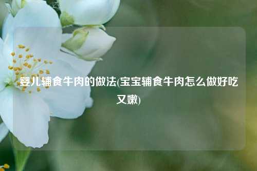 婴儿辅食牛肉的做法(宝宝辅食牛肉怎么做好吃又嫩)