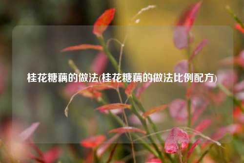 桂花糖藕的做法(桂花糖藕的做法比例配方)