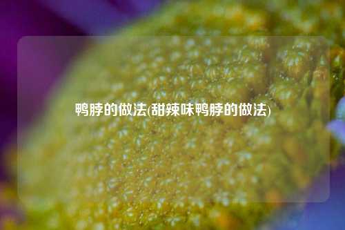 鸭脖的做法(甜辣味鸭脖的做法)