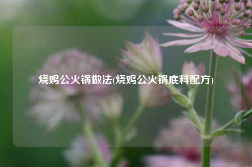烧鸡公火锅做法(烧鸡公火锅底料配方)