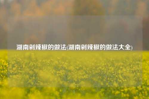 湖南剁辣椒的做法(湖南剁辣椒的做法大全)