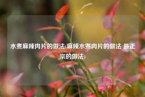 水煮麻辣肉片的做法(麻辣水煮肉片的做法 最正宗的做法)
