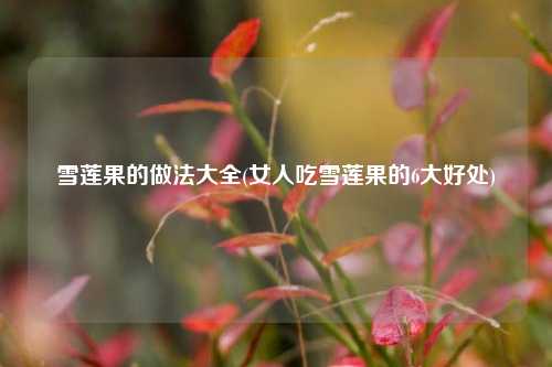 雪莲果的做法大全(女人吃雪莲果的6大好处)